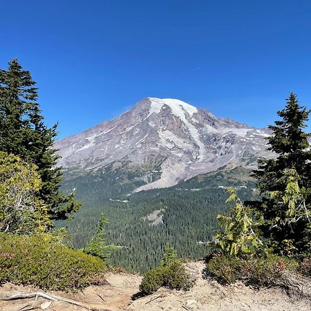 New Modern Cabin! 5Mi To Mt Rainier National Park! Hot Tub & Wifi Ashford Dış mekan fotoğraf
