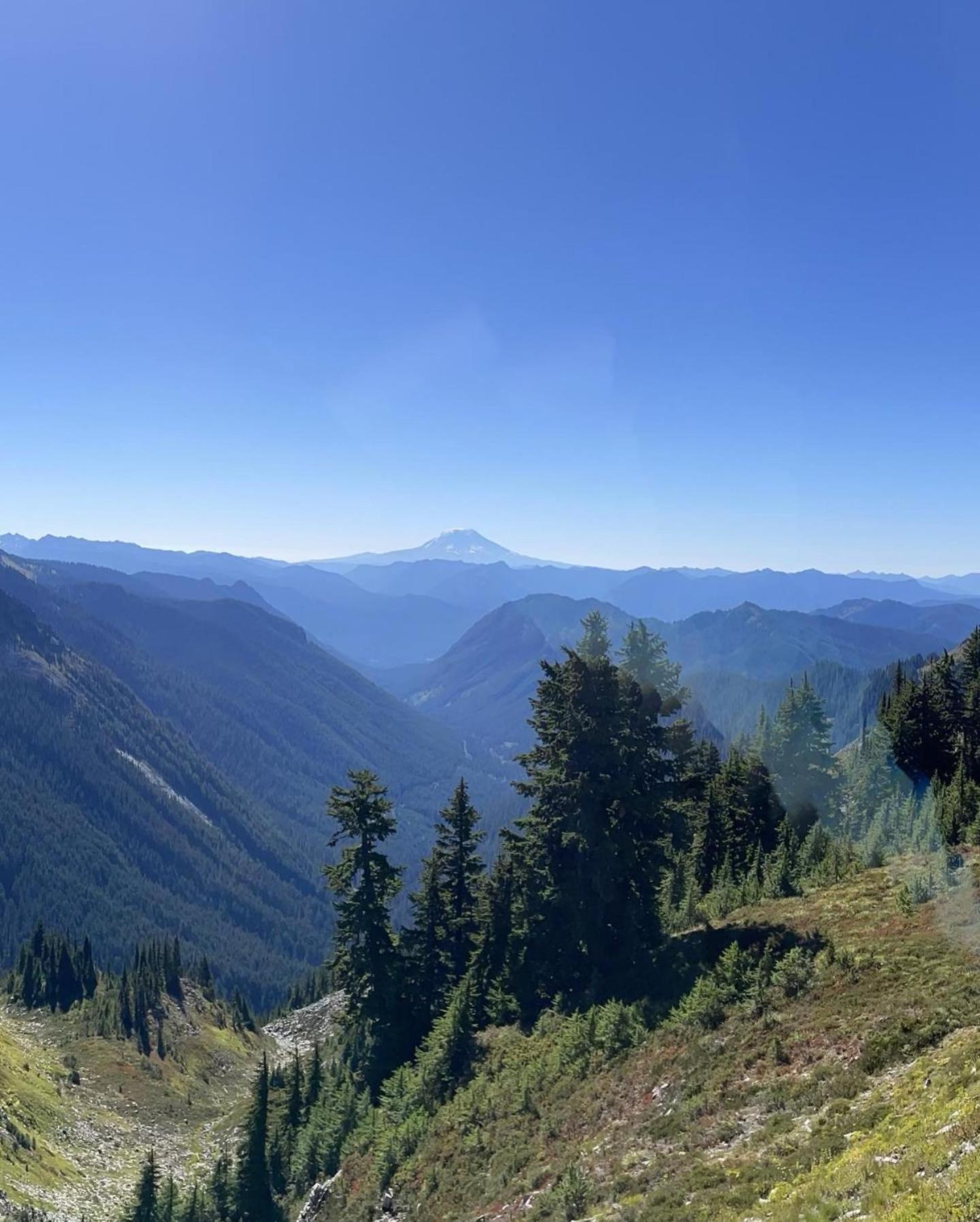 New Modern Cabin! 5Mi To Mt Rainier National Park! Hot Tub & Wifi Ashford Dış mekan fotoğraf